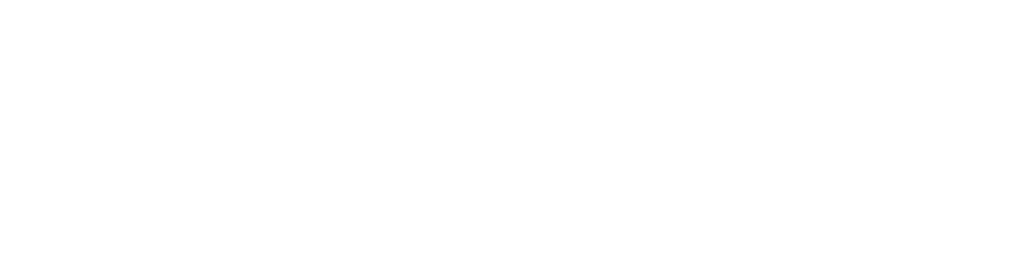 PNIPU